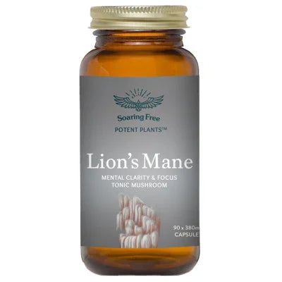 Lion's Mane Capsules (90) - Wildsprout