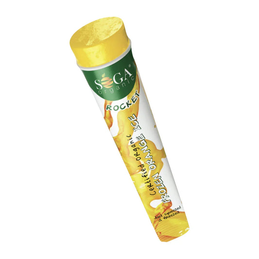 Frozen Orange Ice Lolly 100ml - Wildsprout