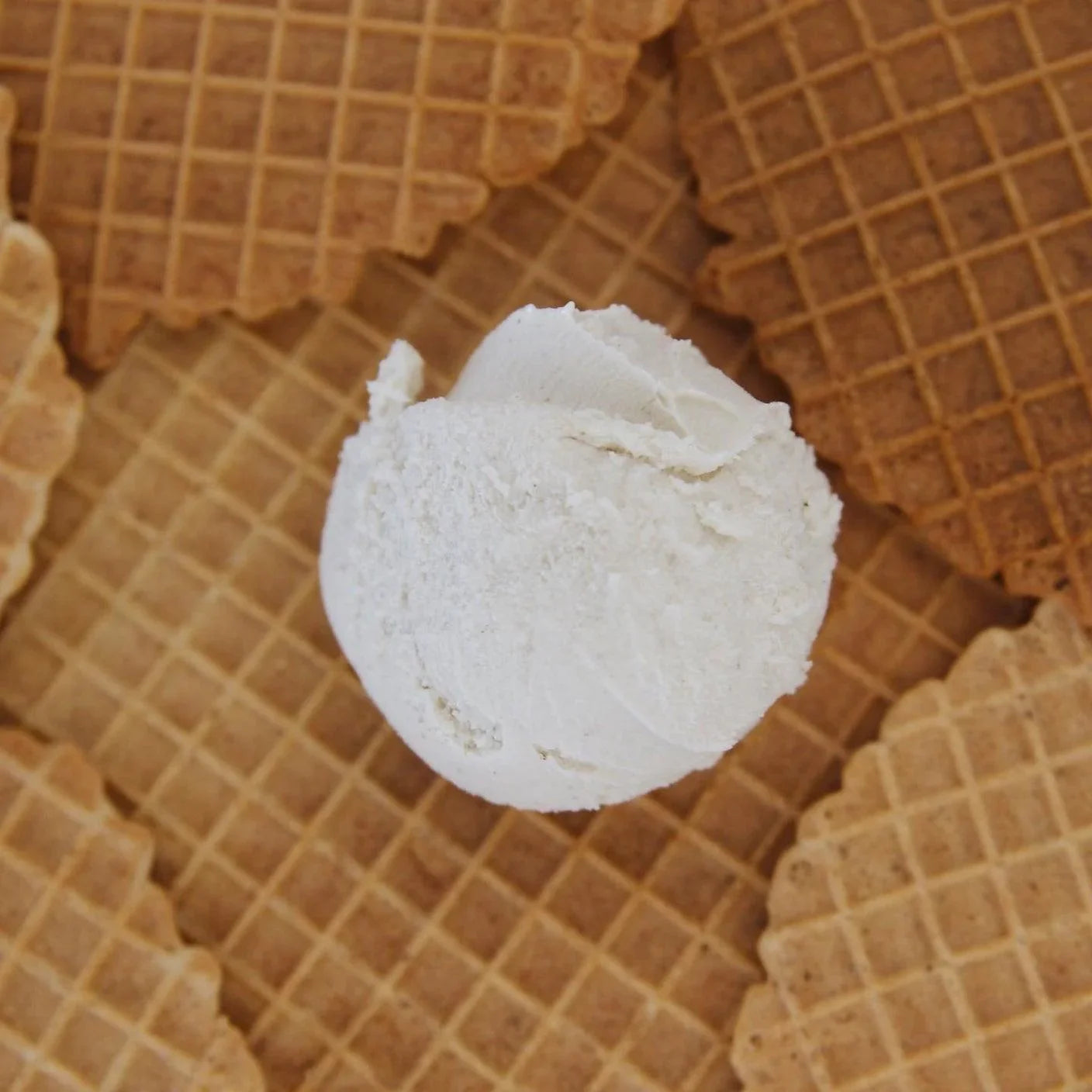 Vegan Ice Cream - Vanilla 500ml - Wildsprout