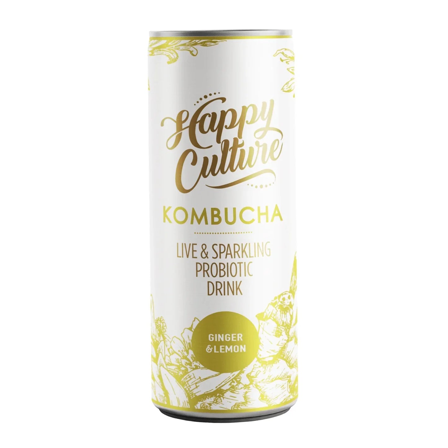 Kombucha Lemon & Ginger 300ml - Wildsprout