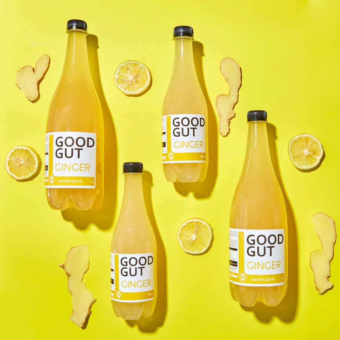 Kefir Water Ginger 500ml - Wildsprout