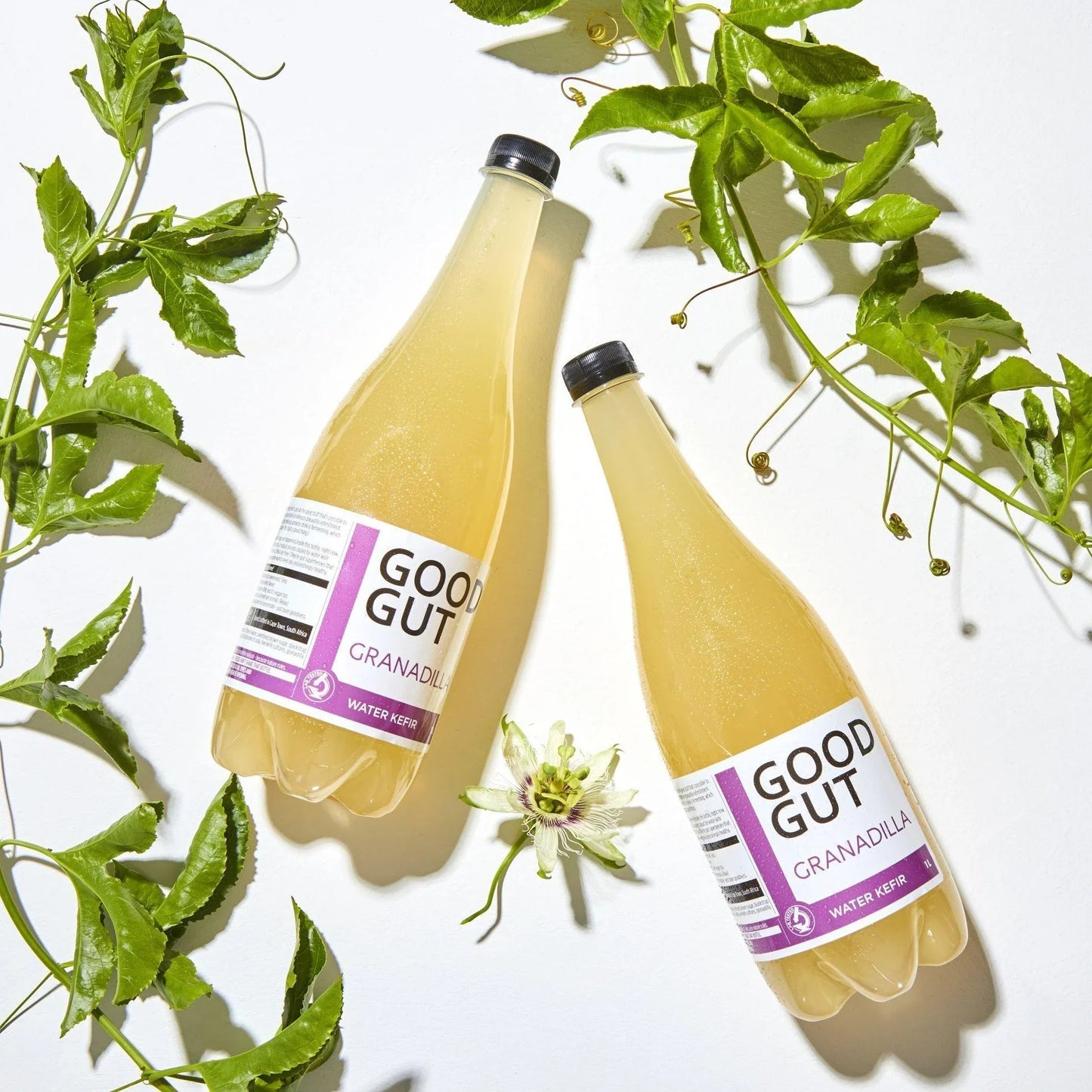 Kefir Water Granadilla 1L - Wildsprout