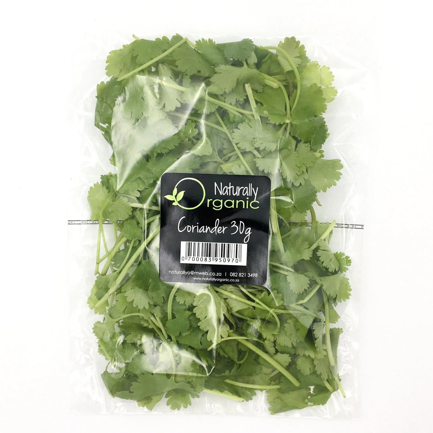Coriander 30g - Wildsprout