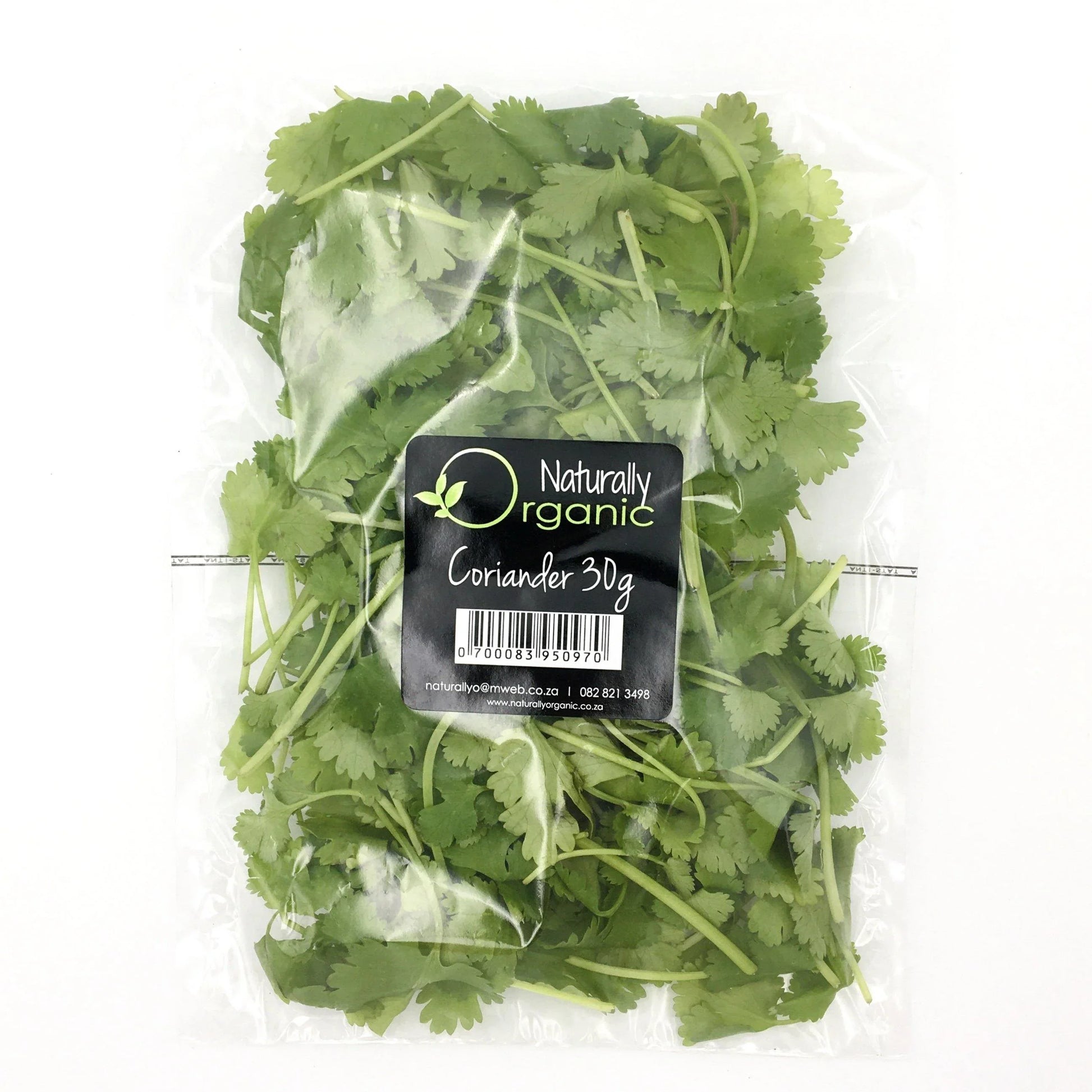 Coriander 30g - Wildsprout