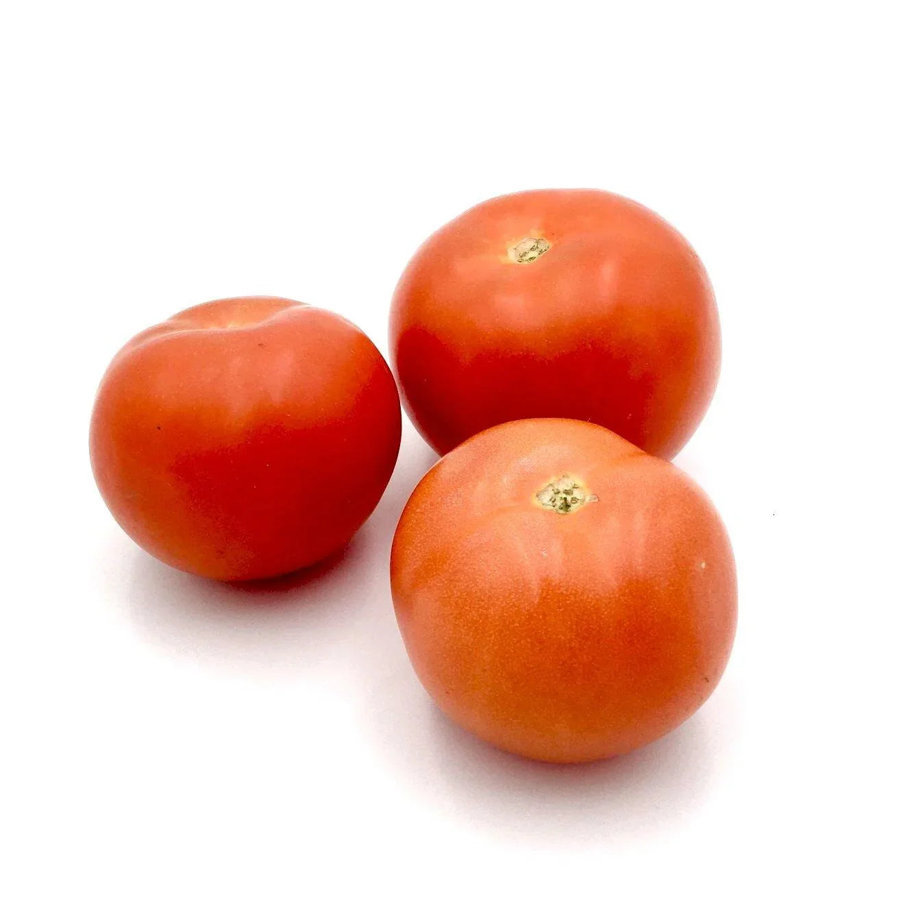 Tomatoes - Wildsprout