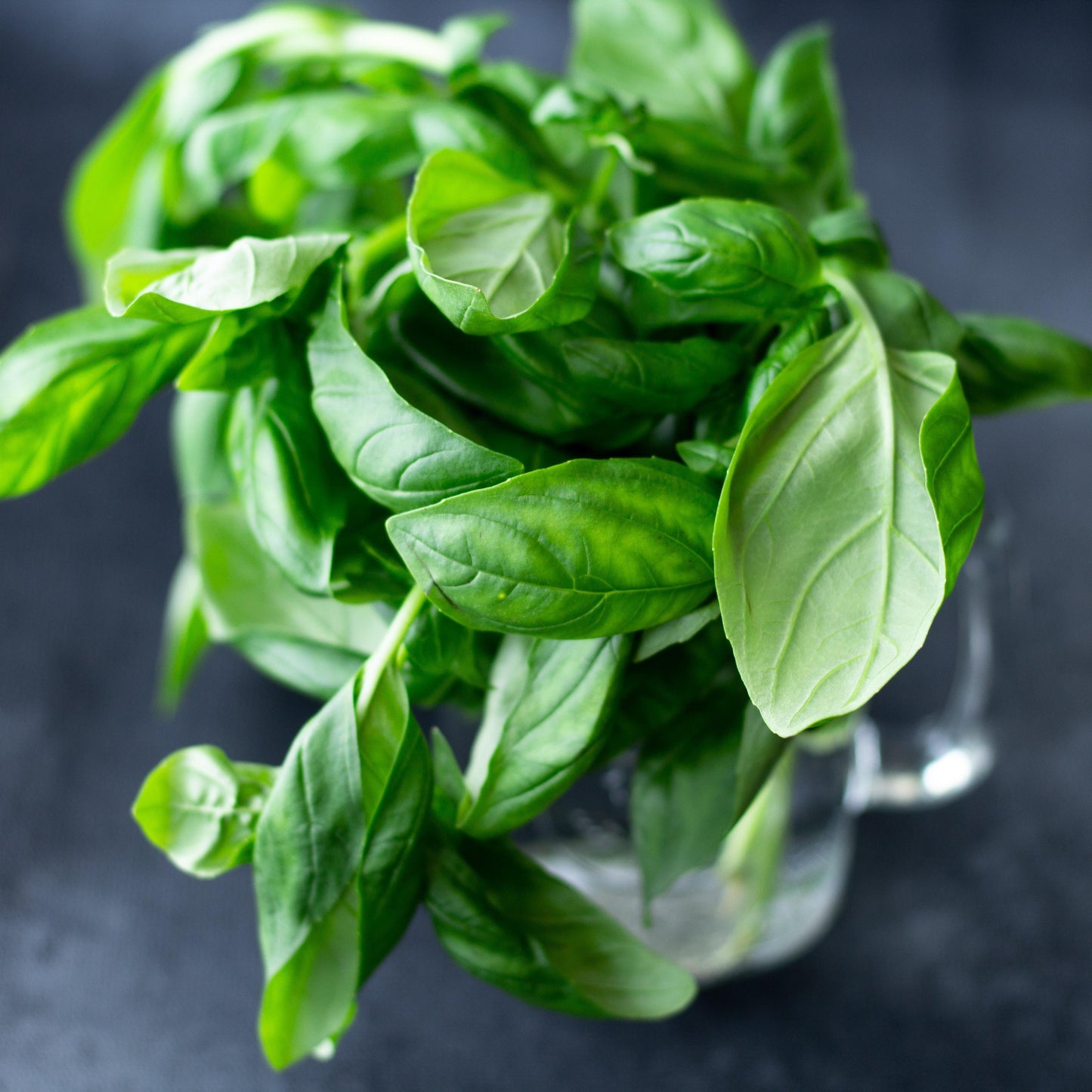 Basil 30g