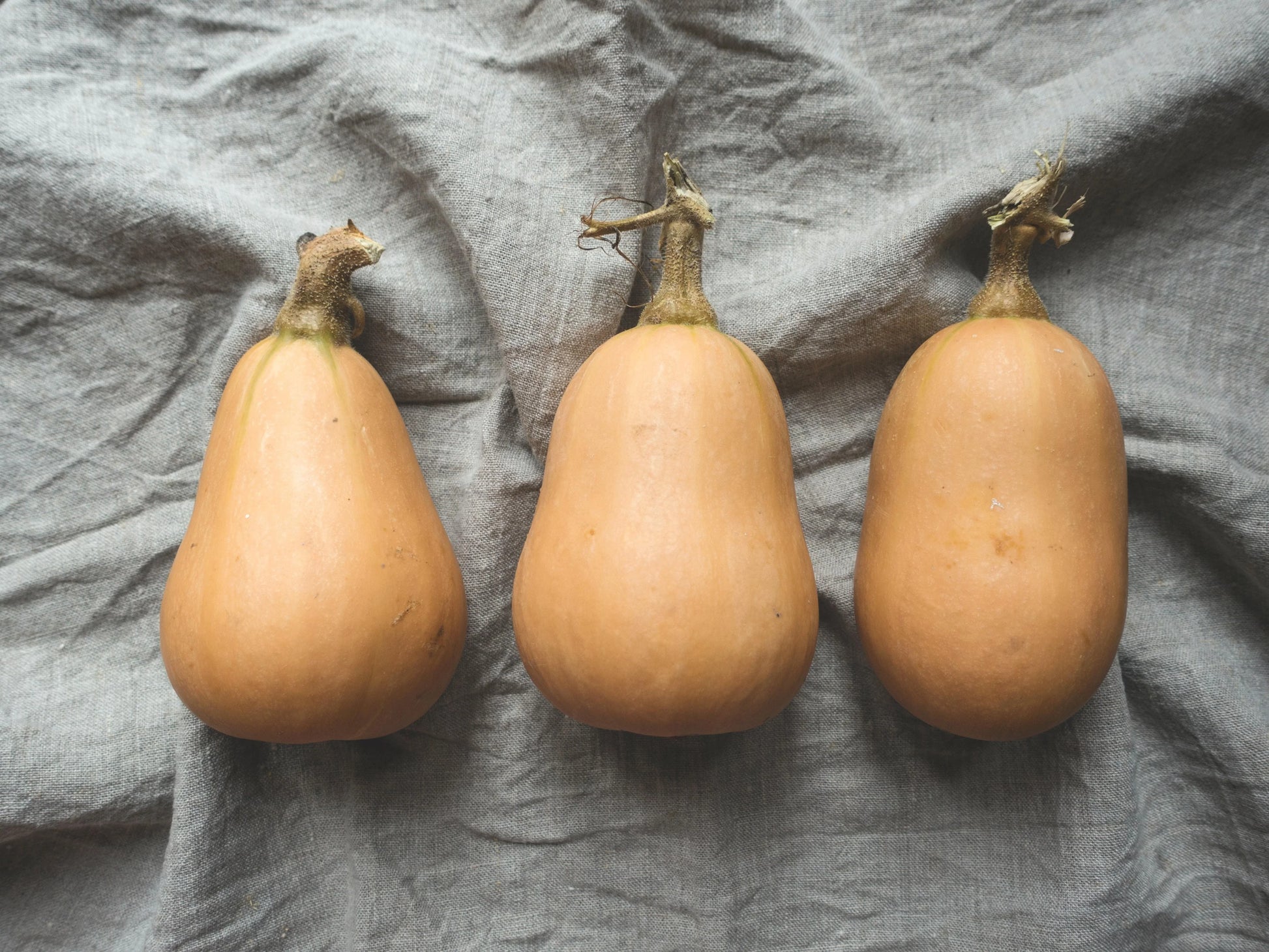 Butternut