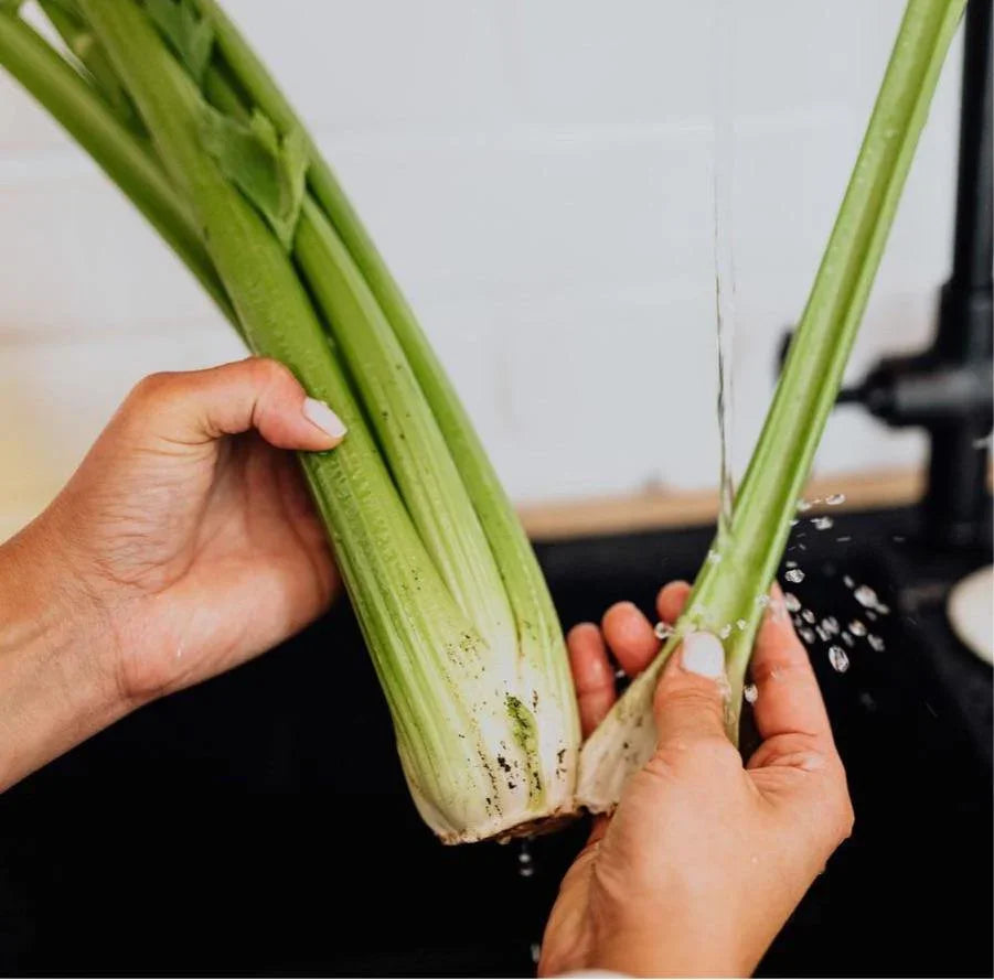 Celery Bunch (Aprx 890g) - Wildsprout