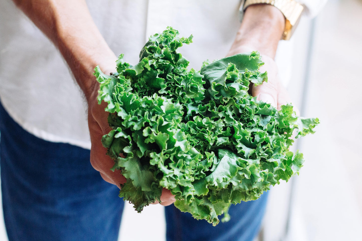 Curly Kale Bunch