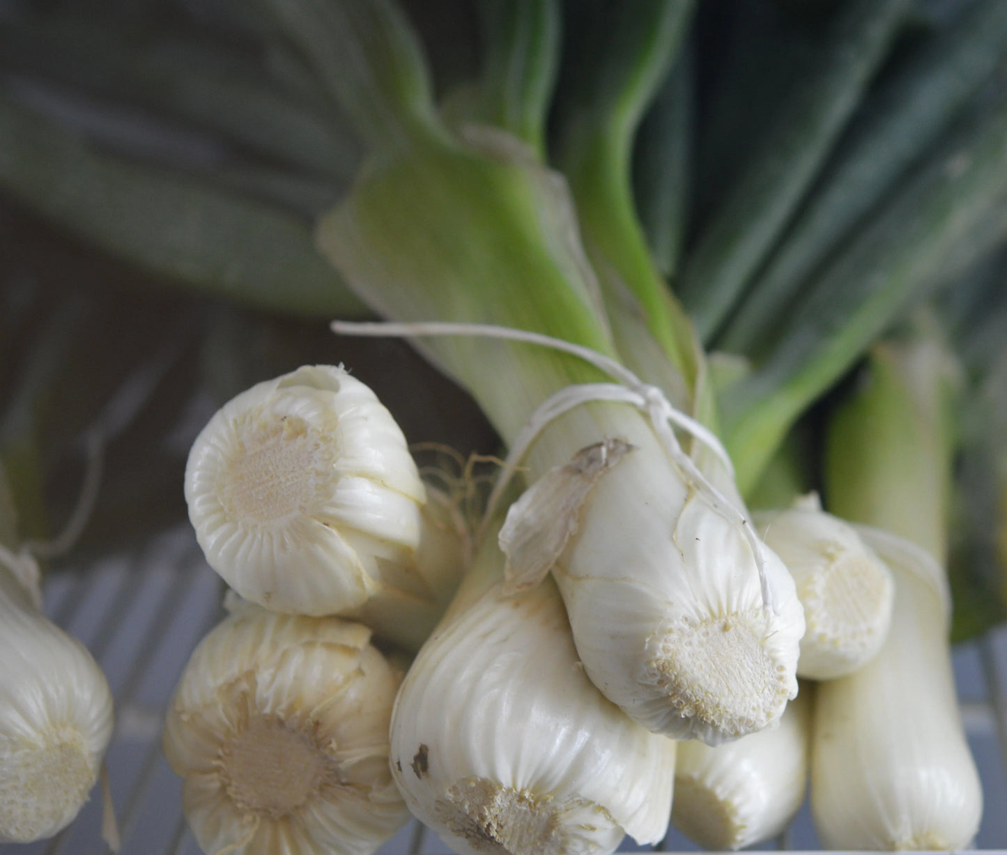 Leeks Bunch (Aprx 250g) - Wildsprout