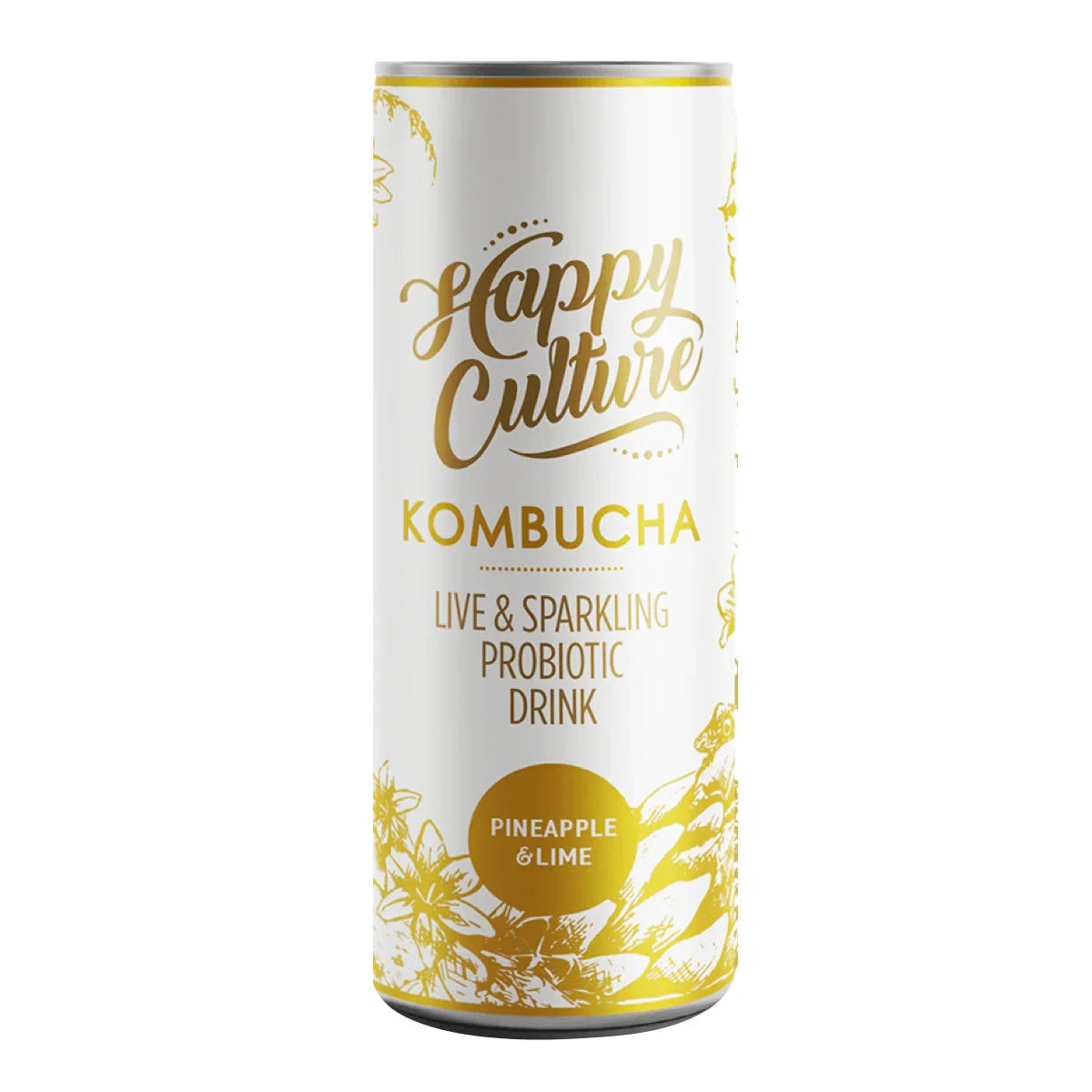 Kombucha Pineapple & Lime 300ml - Wildsprout