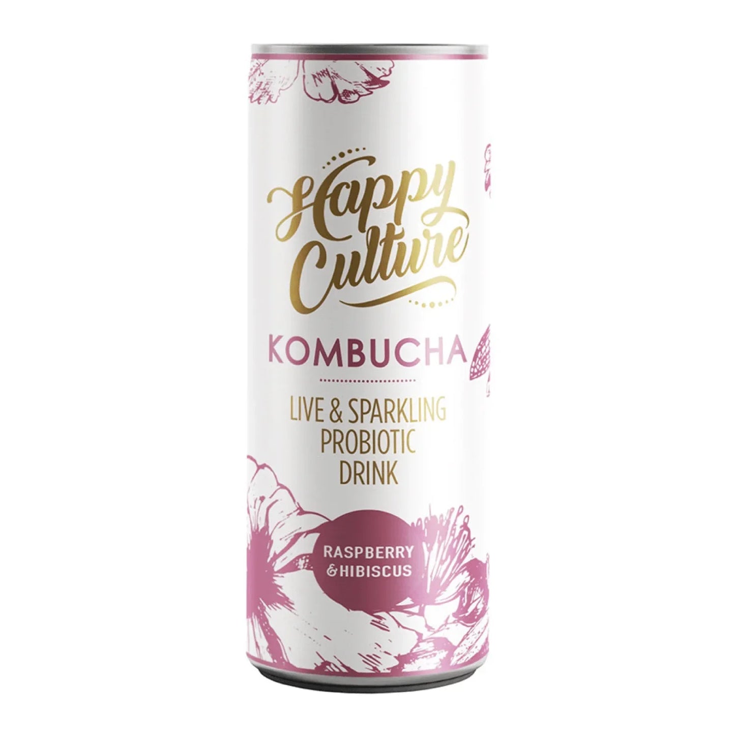 Kombucha Raspberry & Hibiscus 300ml - Wildsprout
