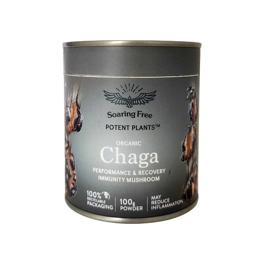 Organic Wildcrafted Chaga Mushroom Powder 100g