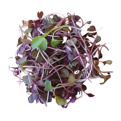 Mixed Microgreens 30g