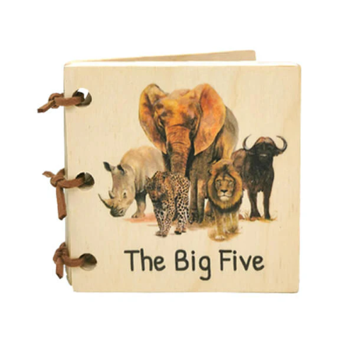 Big 5 Baby Book