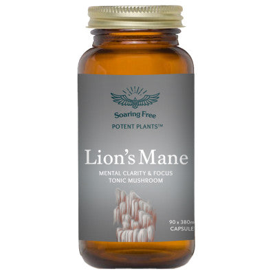 Lion's Mane Capsules (90) - Wildsprout