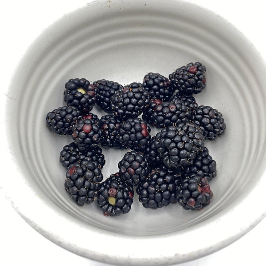Organic Blackberries 130g - Wildsprout