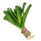Leeks Bunch (Aprx 250g) - Wildsprout
