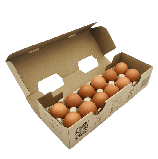Organic Free Range Eggs (12) - Wildsprout