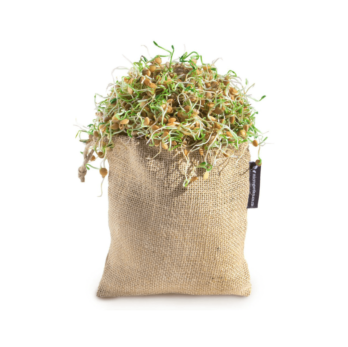 Sprouting Bag 81g - Wildsprout