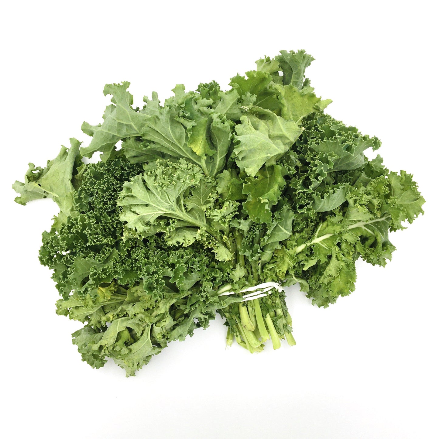 Curly Kale Bunch (Aprx 150g) - Wildsprout
