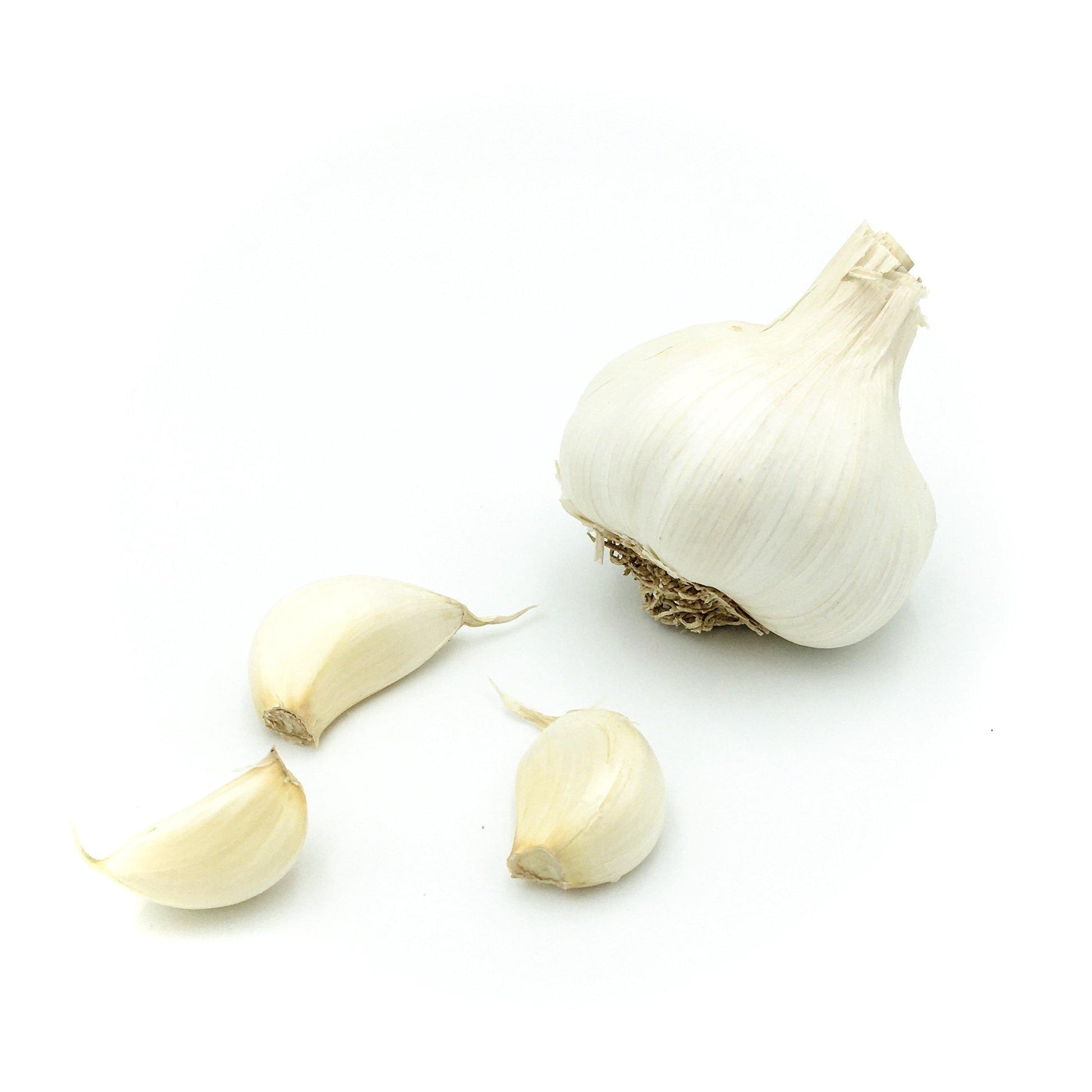 Garlic - Wildsprout
