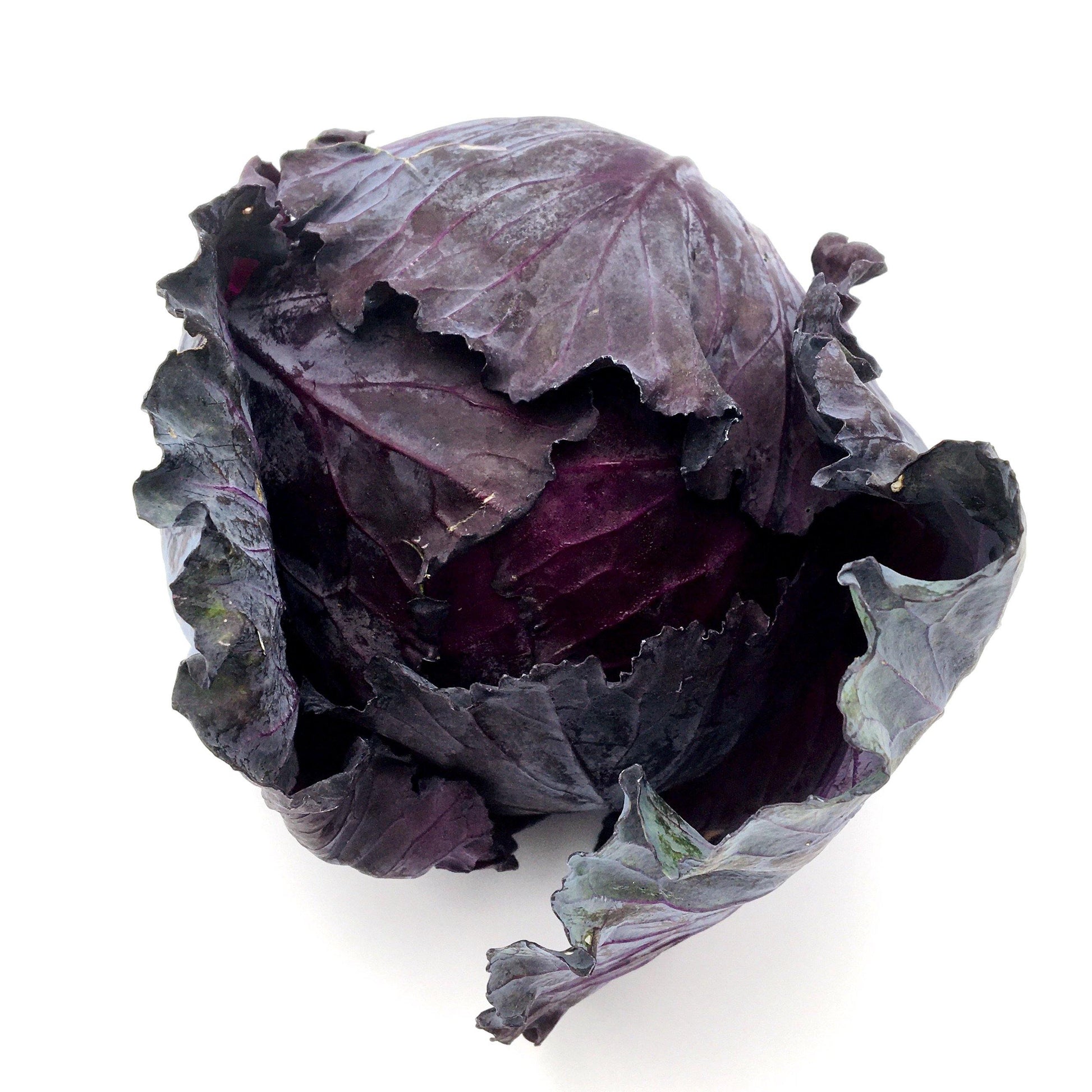 Red Cabbage (Aprx 700g) - Wildsprout