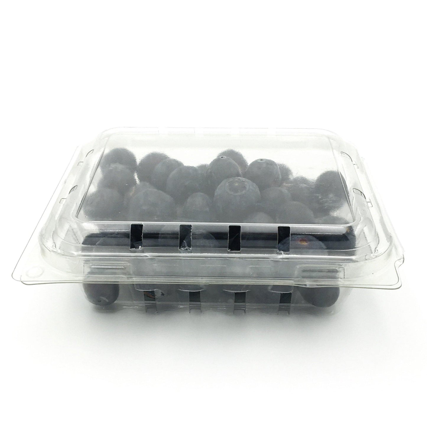 Blueberries Punnet 125g - Wildsprout