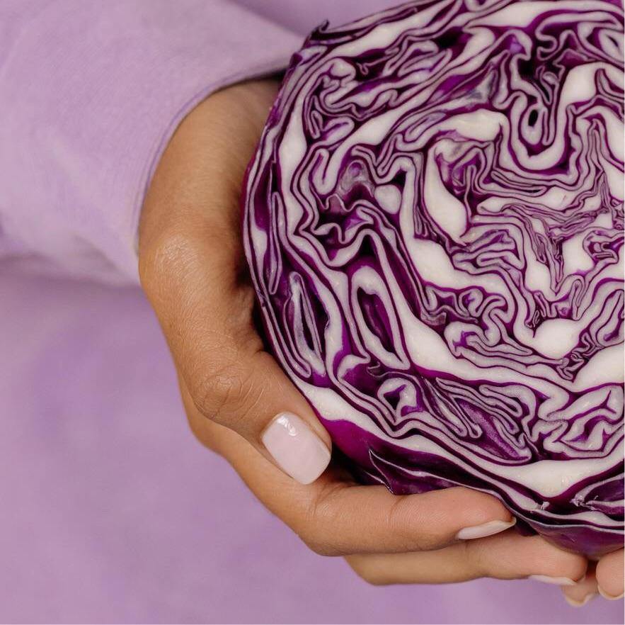 Red Cabbage (Aprx 700g) - Wildsprout