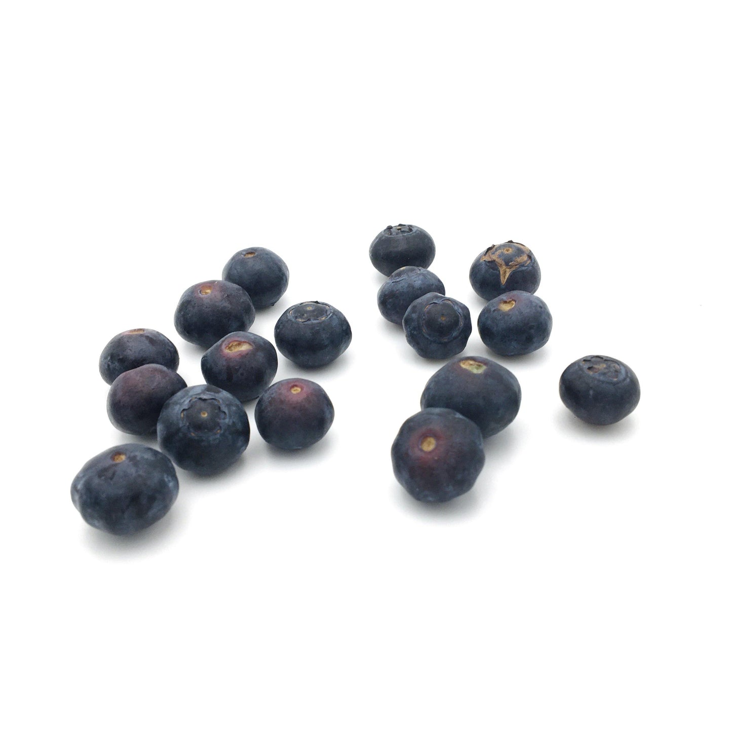 Blueberries Punnet 125g - Wildsprout