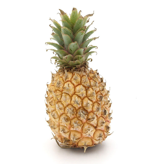 Pineapple (Single - Aprx 525g) - Wildsprout
