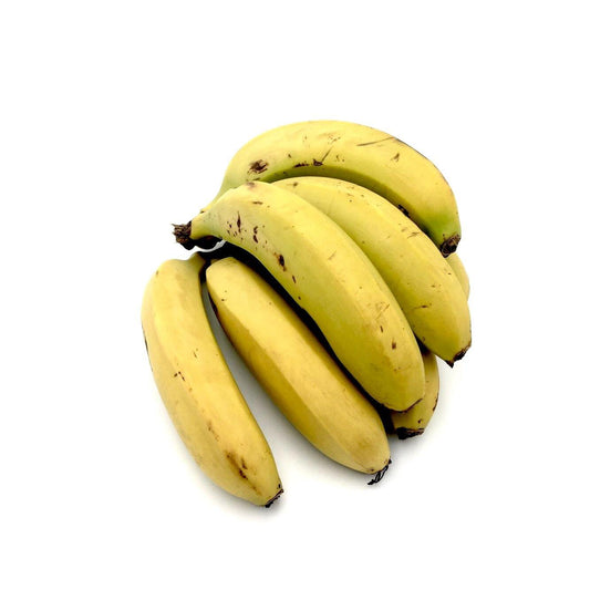 Bananas - Wildsprout