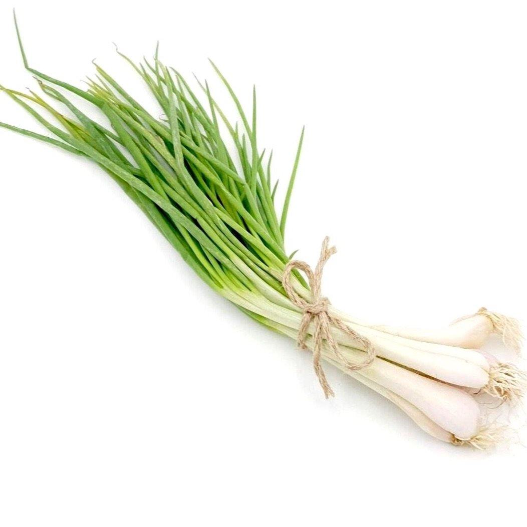 Spring Onions Bunch (Aprx 140g) - Wildsprout