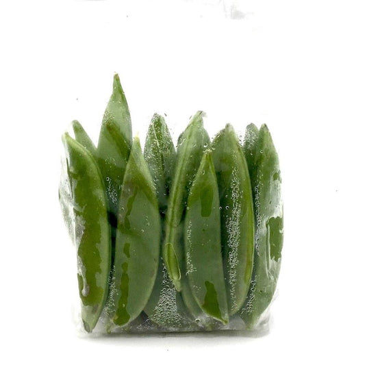 Sugar Snap Peas (Aprx 100g) - Wildsprout
