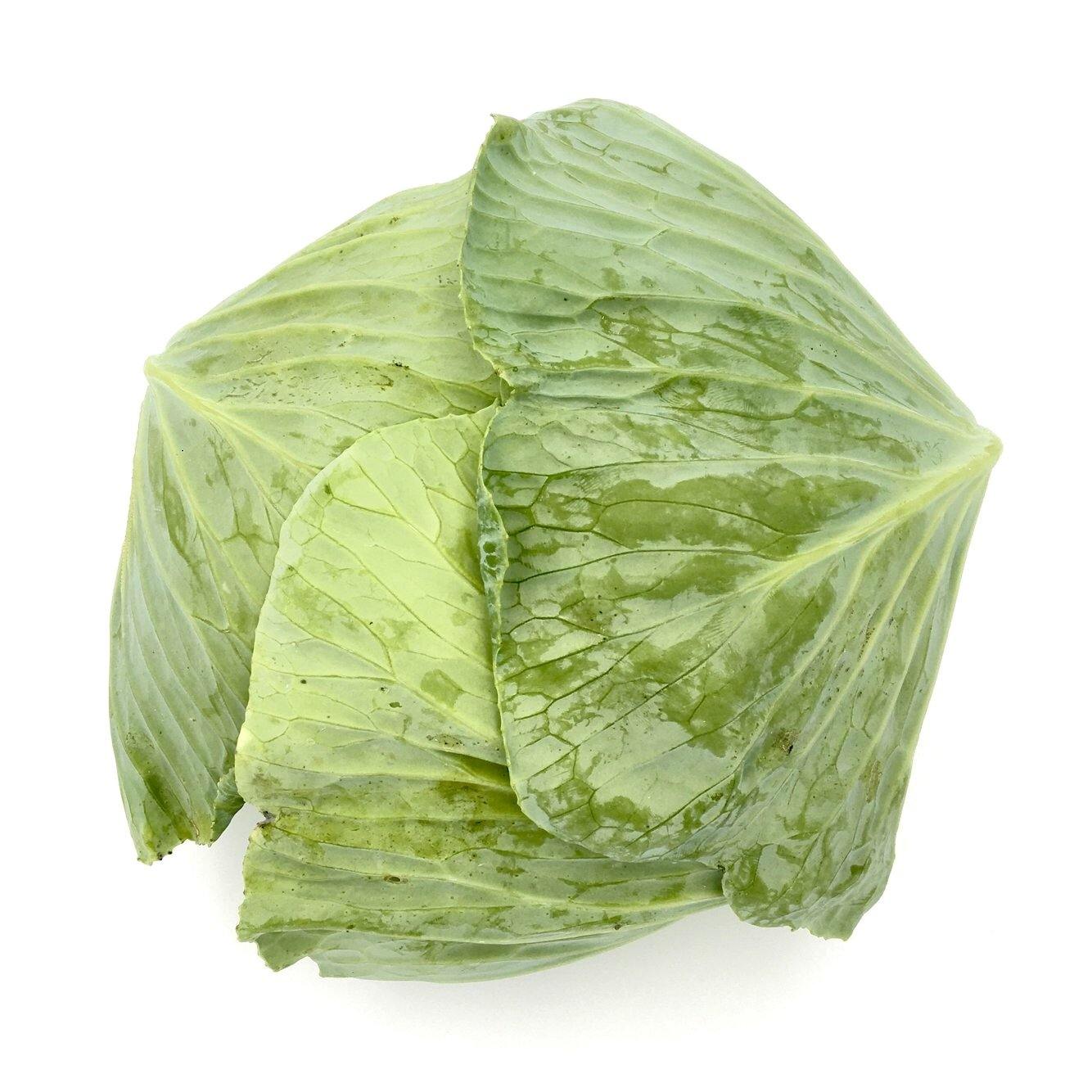 White Cabbage (Aprx 2kg) - Wildsprout