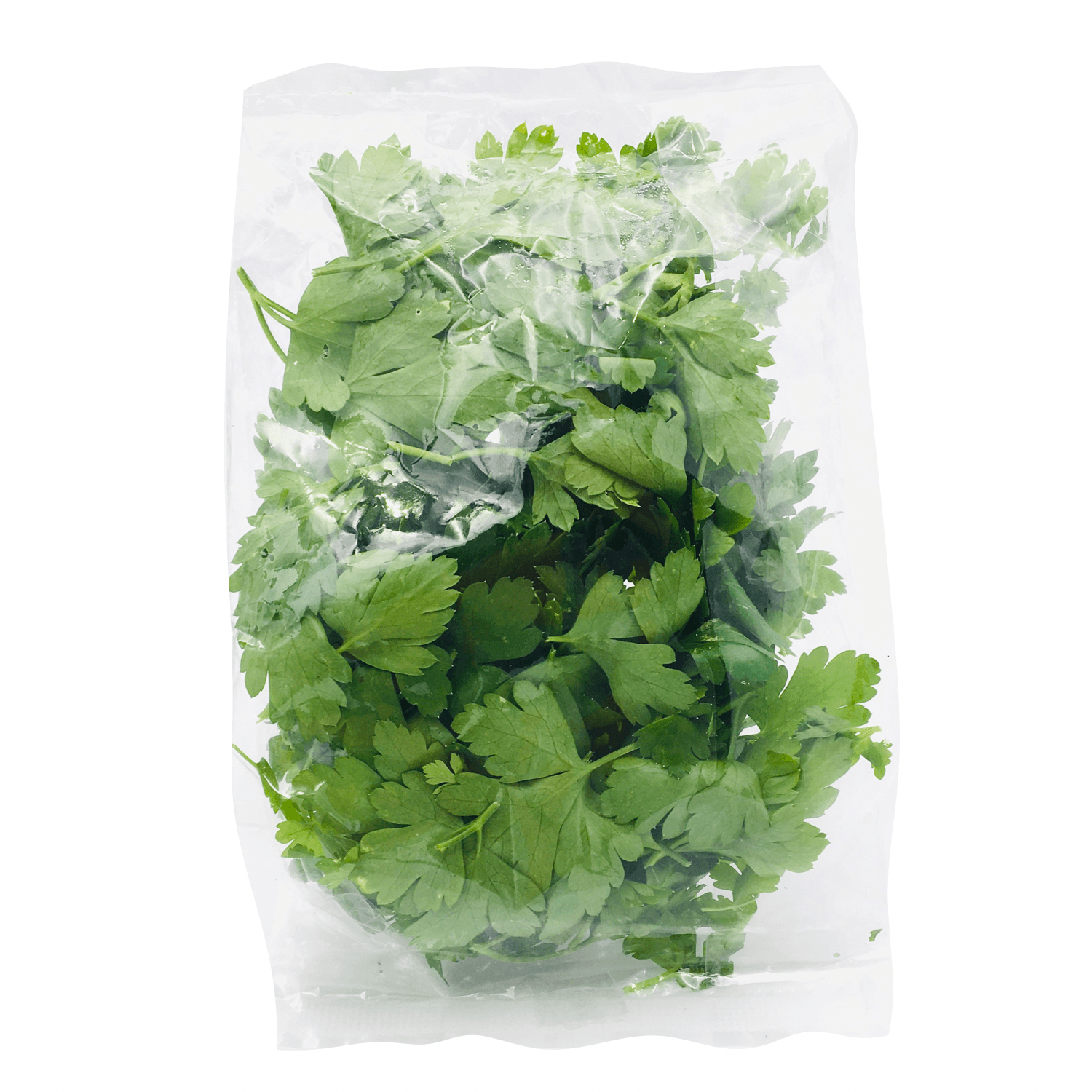 Local Farms - Italian Parsley 30g – Wildsprout