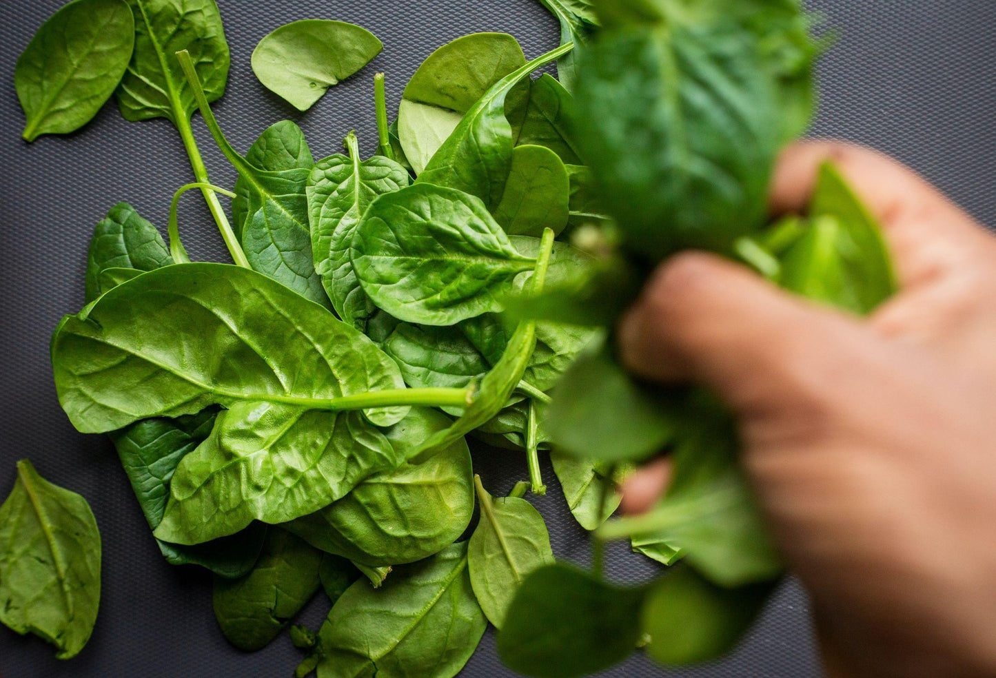 English Spinach 150g - Wildsprout