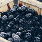 Frozen Blackberries 1kg
