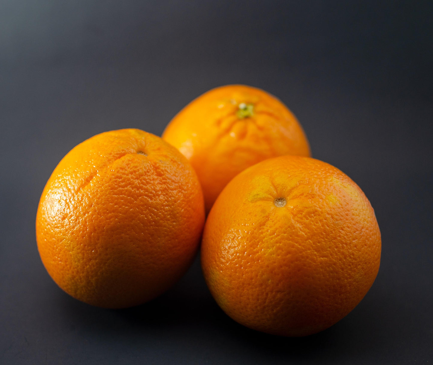 Oranges - Wildsprout
