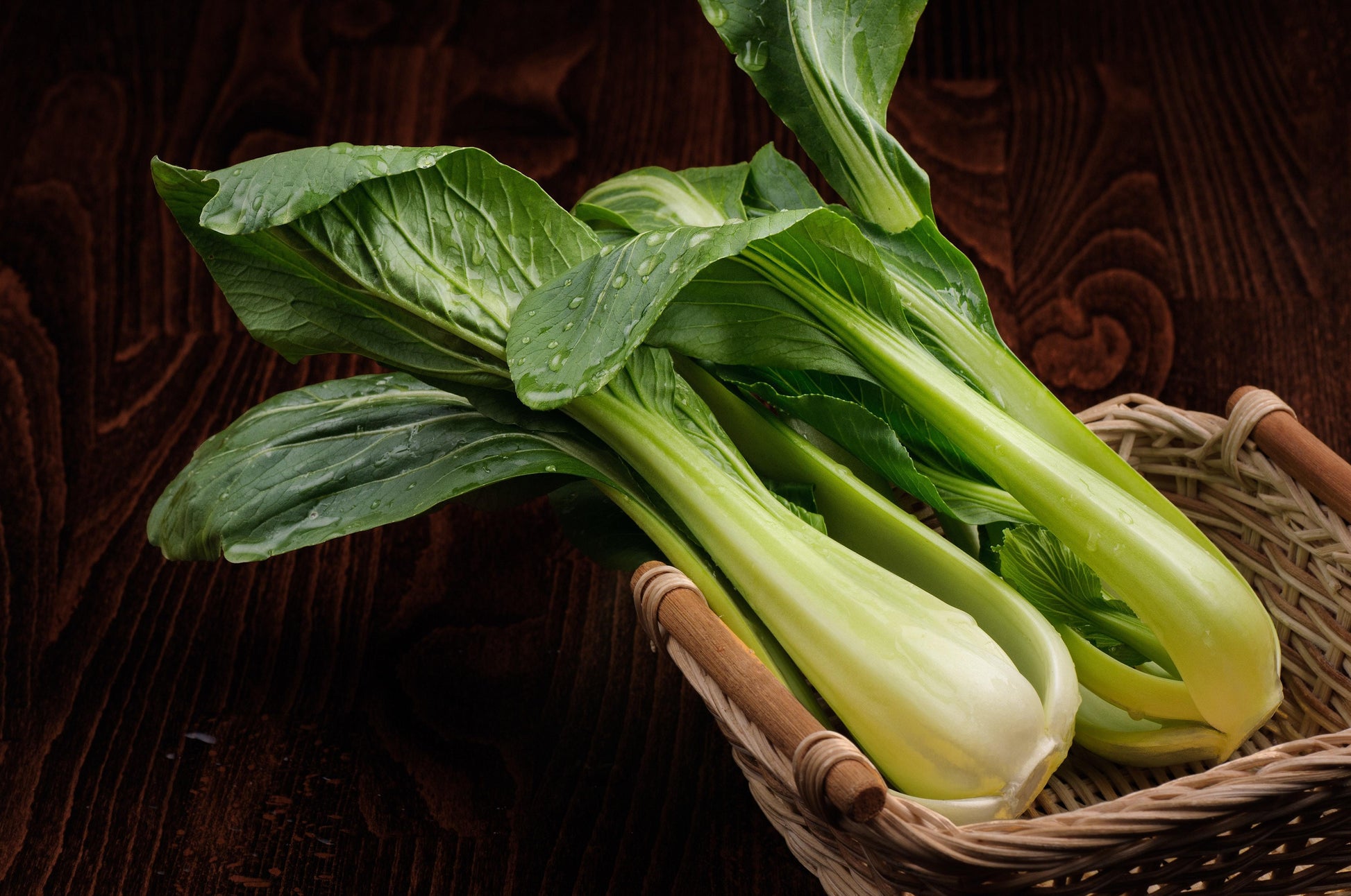 Pak Choi 110g - Wildsprout