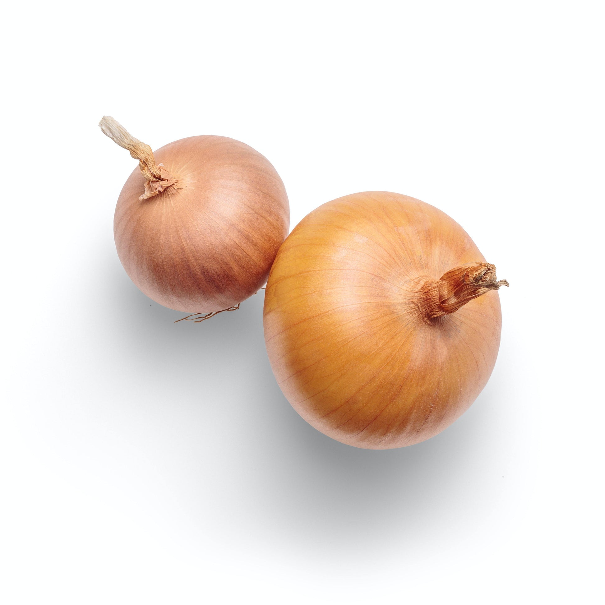 White Onions 