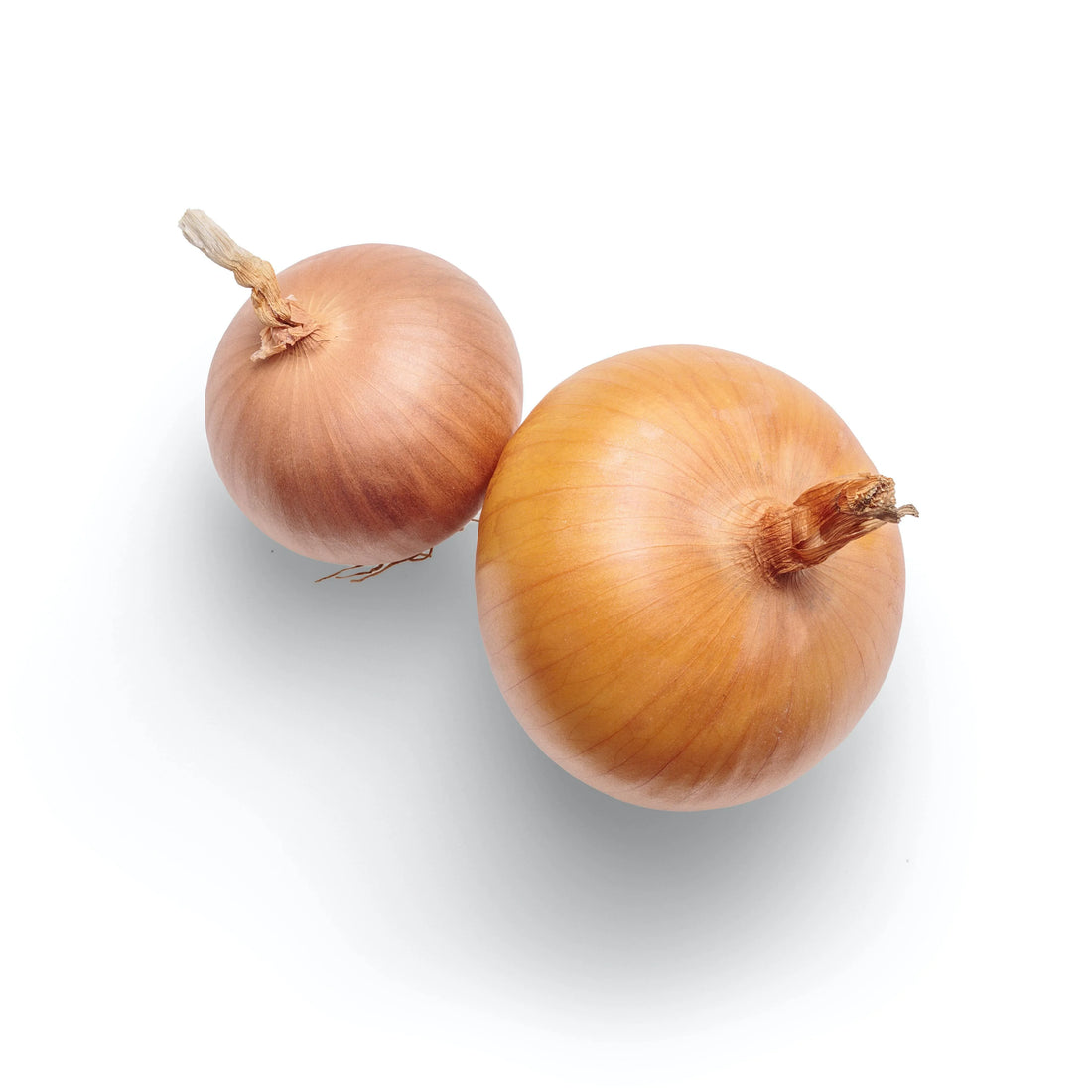 Local Farms - White Onions Approx 500g – Wildsprout