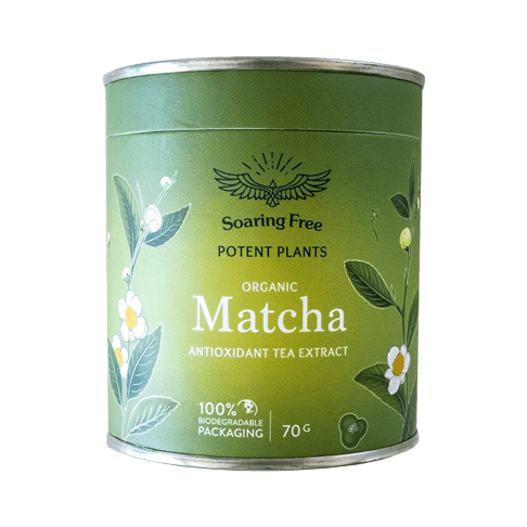 Matcha Antioxidant Tea Extract 70g